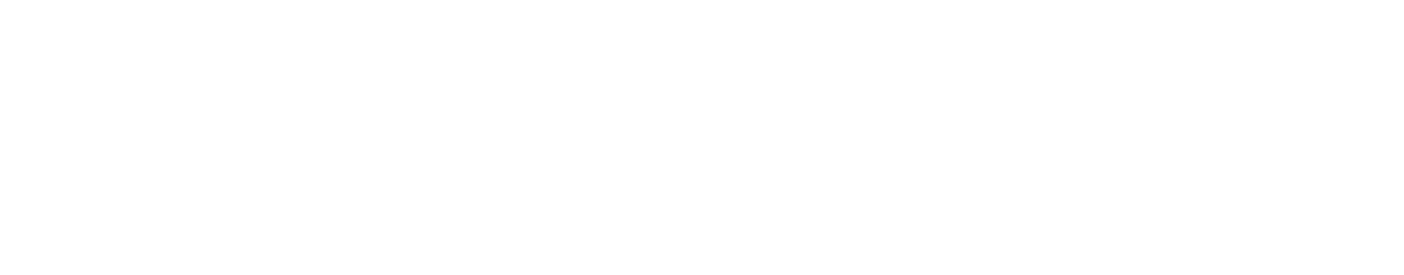 Bespoke Labs